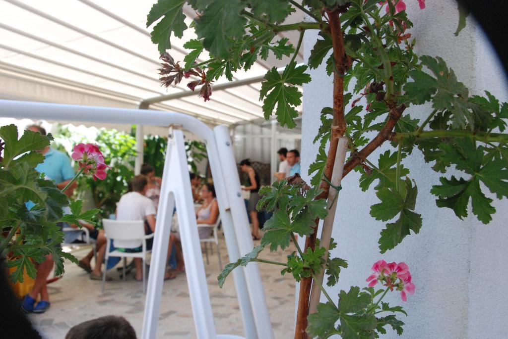 Hotel Cristall San Benedetto del Tronto Extérieur photo